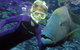 Calypso Reef Charters - thumb 4