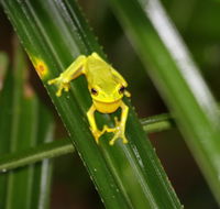 Daintree River Cruise Centre - Attractions Sydney