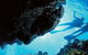 Deep Sea Divers Den - thumb 0