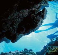 Deep Sea Divers Den - Attractions Sydney