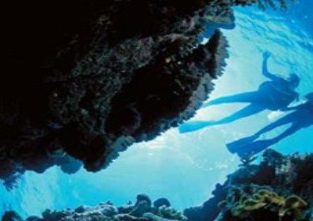 Deep Sea Divers Den - Attractions Sydney 0