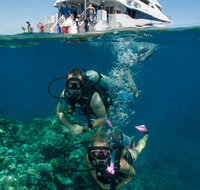 Down Under Cruise and Dive - Attractions Sydney