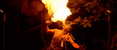 Flames Of The Forest - Attractions Sydney 1