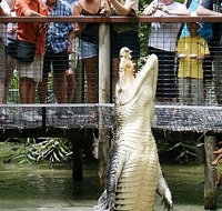 Hartley's Crocodile Adventures - Attractions Sydney