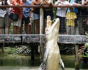 Hartley's Crocodile Adventures - Attractions Sydney 0