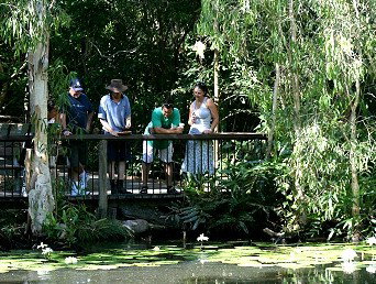 Hartley's Crocodile Adventures - Attractions Sydney 2