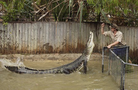 Hartley's Crocodile Adventures - Attractions Sydney 8