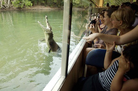 Hartley's Crocodile Adventures - Attractions Sydney 9