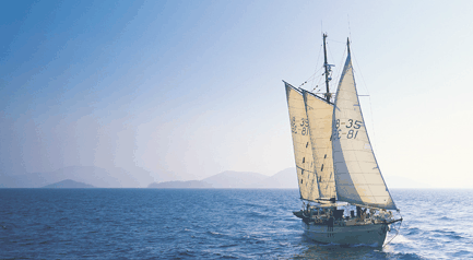 Tallship Adventures - Attractions Sydney 0