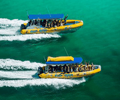 Ocean Rafting - Attractions Sydney 2