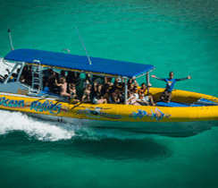 Ocean Rafting - Attractions Sydney 3