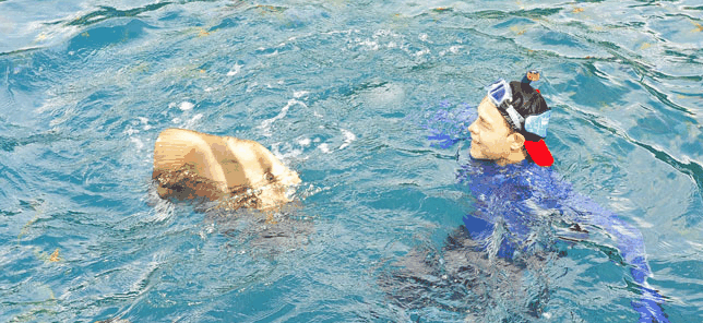 Queensland Yacht Charters - Attractions Sydney 2