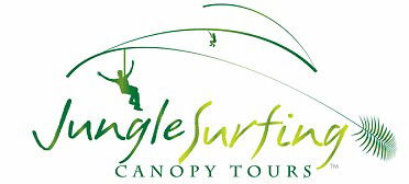 Jungle Surfing Canopy Tours And Jungle Adventures Nightwalks - Attractions Sydney 0