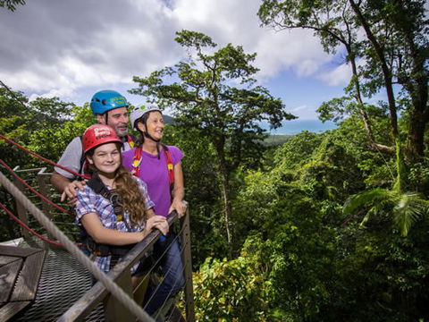 Jungle Surfing Canopy Tours And Jungle Adventures Nightwalks - Attractions Sydney 1
