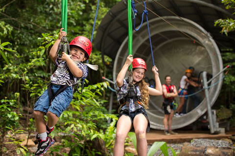 Jungle Surfing Canopy Tours And Jungle Adventures Nightwalks - Attractions Sydney 2
