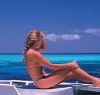 Mike Ball Dive Expeditions - Attractions Sydney