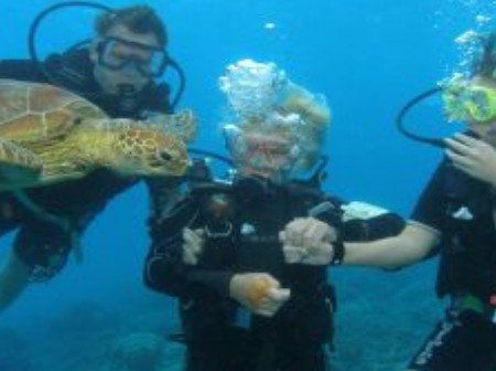 Brinsmead QLD Attractions Sydney