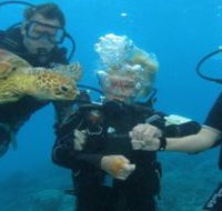 Yardarm Pty Ltd t/a Passions of Paradise - Attractions Sydney