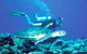 Poseidon Outer Reef Cruises - thumb 1