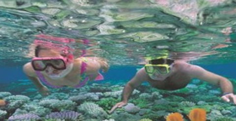 Quicksilver Cruises - Attractions Sydney 2