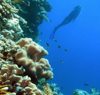 Reef Magic Cruises - Attractions Sydney