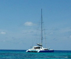 Synergy Reef Sailing - Attractions Sydney 5