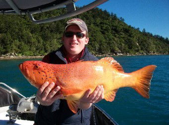 Gone Fishing By Coral Sea Fishing Charters Airlie Beach - Attractions Sydney 0