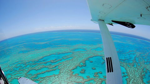 Air Whitsunday Day Tours - Attractions Sydney 0