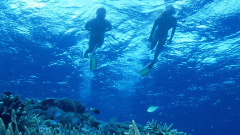 Air Whitsunday Day Tours - Attractions Sydney 1