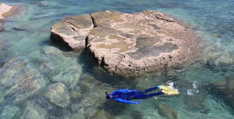 Salty Dog Sea Kayaking - Attractions Sydney 6