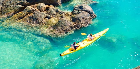 Salty Dog Sea Kayaking - Attractions Sydney 9