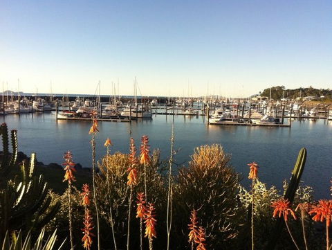 Mantaray Charters - Attractions Sydney 0