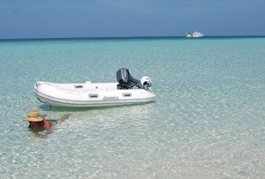 Adrenalin Snorkel And Dive - Attractions Sydney 4