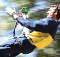 Adventure Parc - Attractions Sydney
