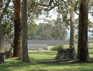 Stanthorpe QLD Attractions Sydney