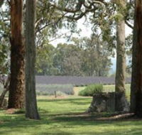 Aloomba Lavender - Attractions Sydney