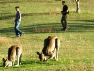 Southern Queensland Country QLD Attractions Sydney