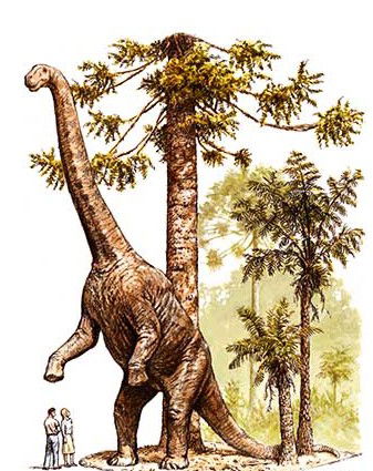 Australian Age Of Dinosaurs - Attractions Sydney 2