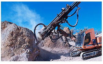 Australian Age Of Dinosaurs - Attractions Sydney 3