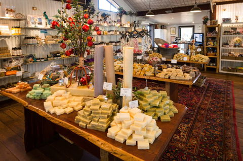 Vasse Virgin - Attractions Sydney 3