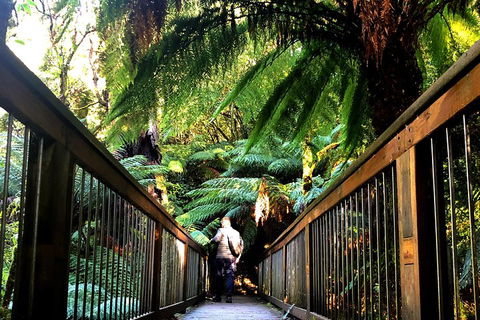 Small-Group Great Ocean Road And Twelve Apostles Full-Day Tour - Attractions Sydney 1