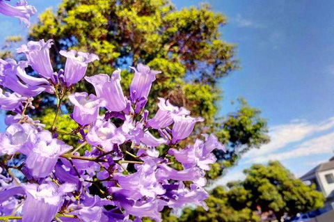 Big Perth (Private) Day Tour - Attractions Sydney 3