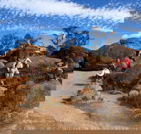 The Big Wave Rock Private Day Tour - Attractions Sydney