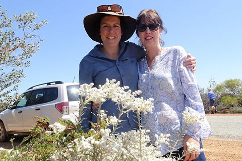 Spring Wildflower (Private) Day Tours - Attractions Sydney 0