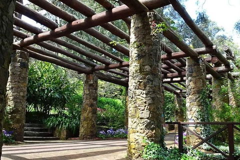 Spring Wildflower (Private) Day Tours - Attractions Sydney 2