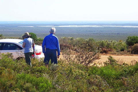 Spring Wildflower (Private) Day Tours - Attractions Sydney 3