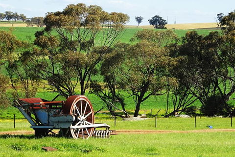 Spring Wildflower (Private) Day Tours - Attractions Sydney 4