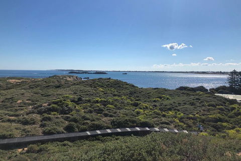 Penguin Island And Fremantle - Canoe, Chocolate & Coffee - Attractions Sydney 0