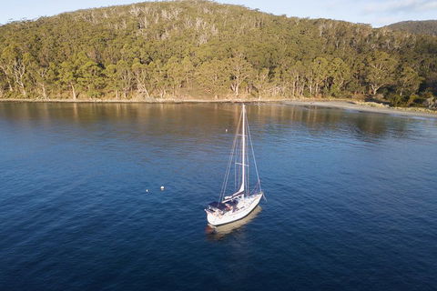 Twilight Sail Bruny Island - Attractions Sydney 3