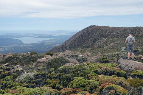 Kunanyi/Mt Wellington Explorer Bus - One Way Tour - Attractions Sydney 0